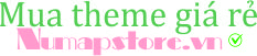 Theme giá rẻ